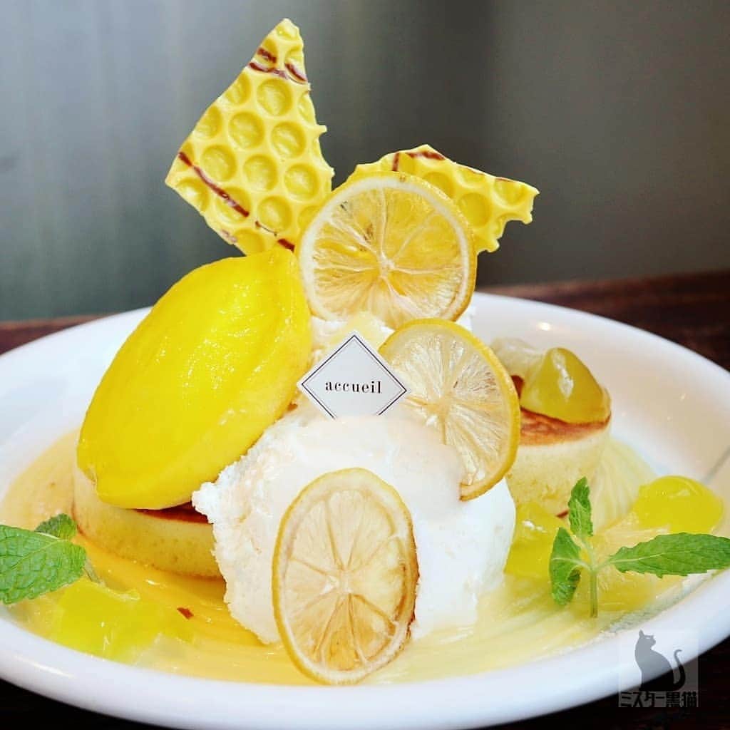 ミスター黒猫（黒猫仙人）のグルメインスタ