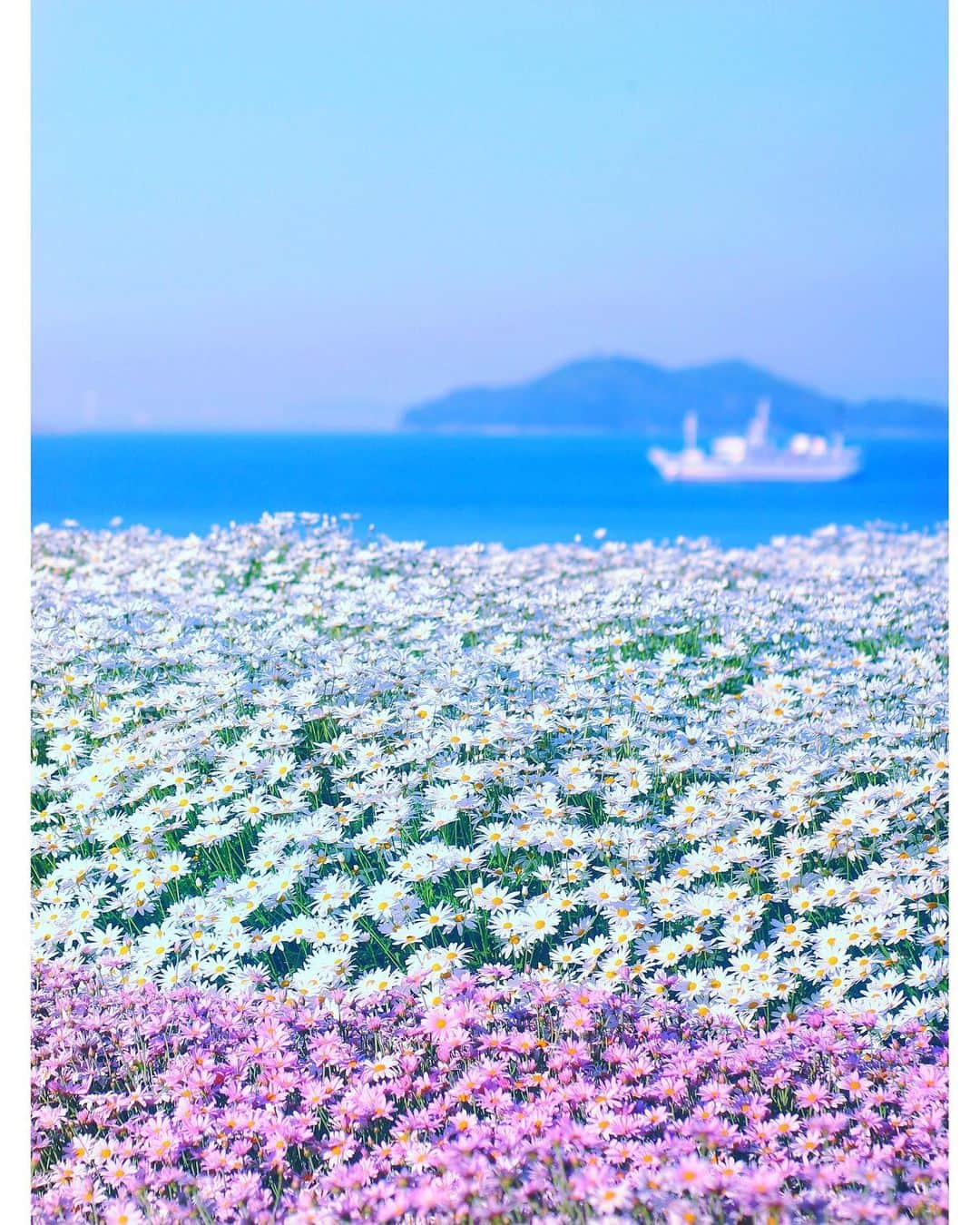 メグのん♡ A k i k oのインスタグラム：「♡me time . . . 今 心は裸になりたがっているよ . . . ♡」