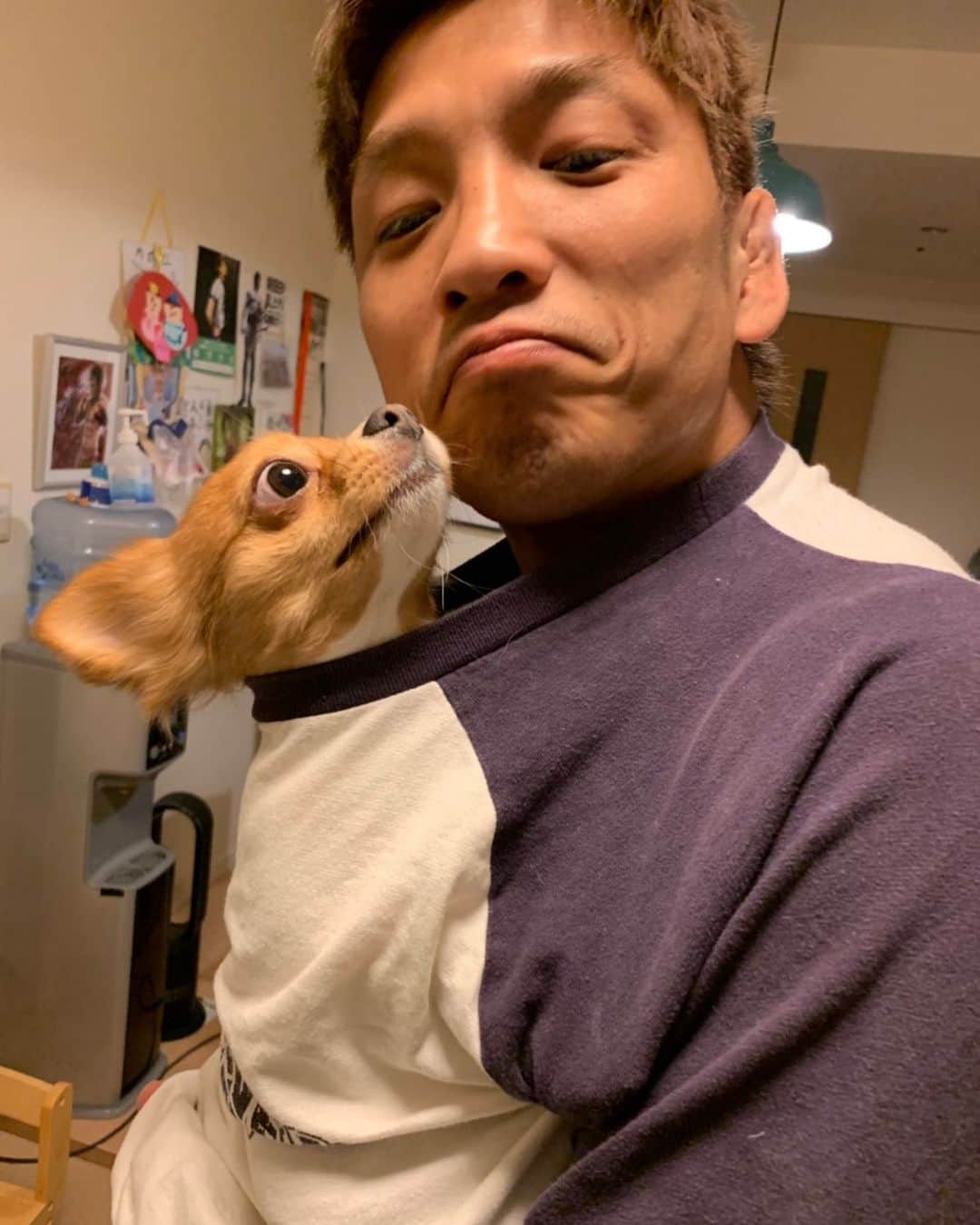 所英男さんのインスタグラム写真 - (所英男Instagram)「もちまる @mochimaru1056 いつもありがとう^ ^ #愛犬の日」5月13日 22時04分 - tokorohideo