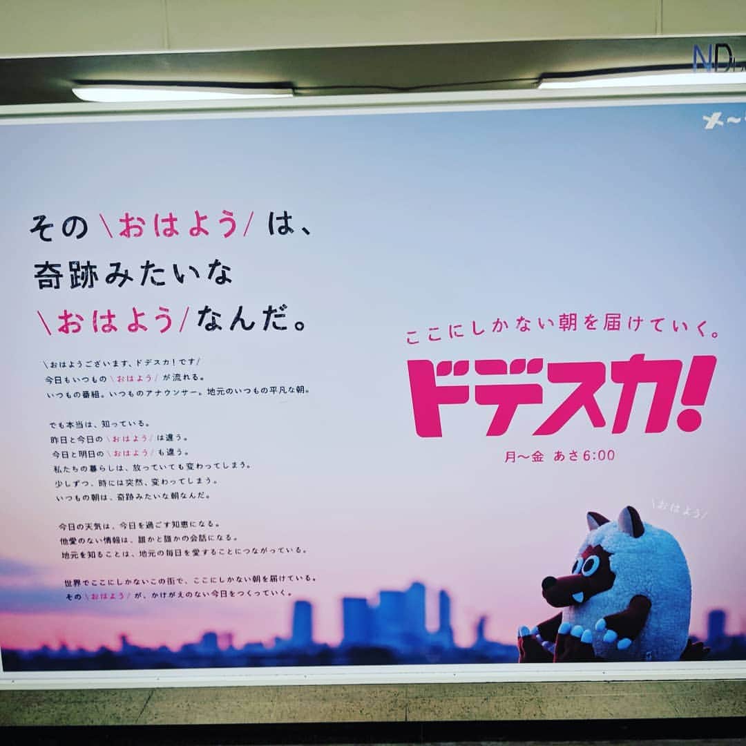 のインスタグラム：「ありがとうELL！楽しかったな名古屋！ウルフィの町。東海地方のおーつかあいファンの皆様にひとつだけ言わせてもらうと、毎朝メ～テレで流れてるウルフィのテーマソングを歌ってるのは僕ですから！5年間歌ってますんでどうぞよろしく！名古屋は今度は自分のツアーで7/5に帰ってきます。また逢う日まで♪ #大塚愛 #名古屋 #electricladyland #メ～テレ #ウルフィ #磯貝サイモン #次回名古屋はサマパツアーで7月5日よろしく」