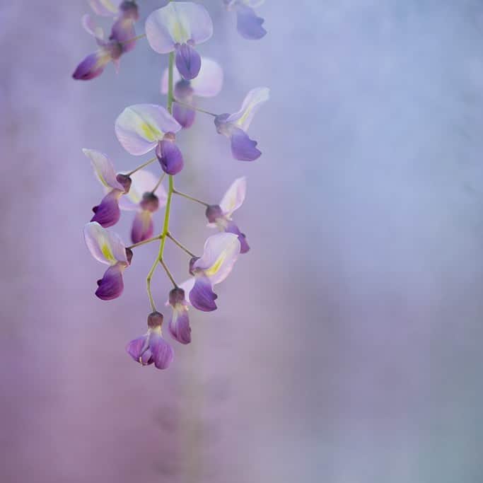 Naomiのグルメインスタ