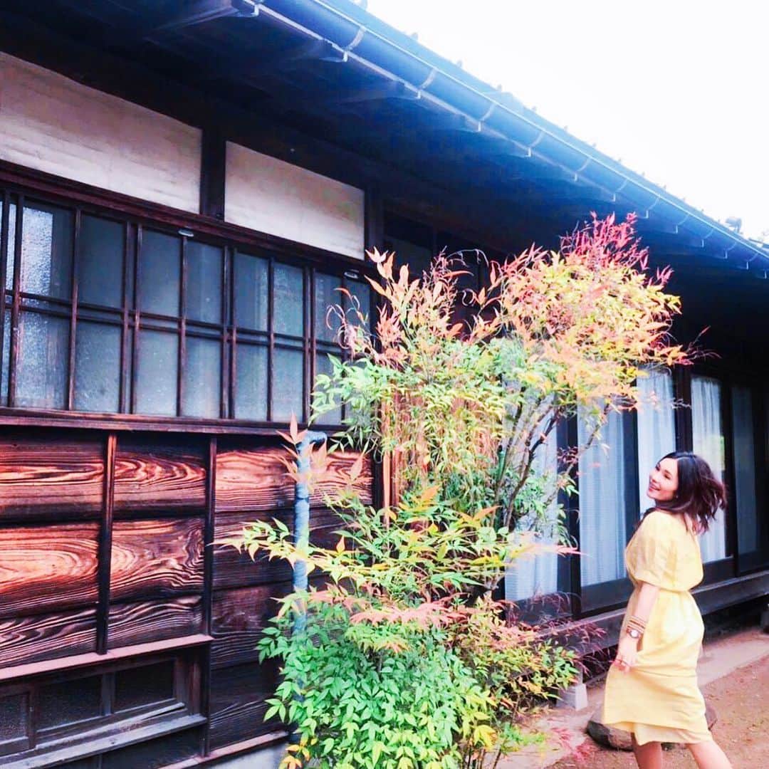 平野ノラのインスタグラム