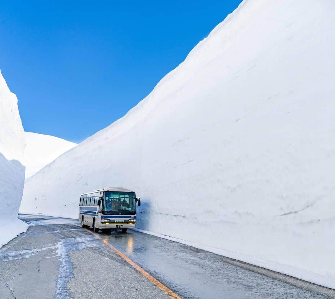 詩歩さんのインスタグラム写真 - (詩歩Instagram)「❄️﻿ ﻿ 大迫力！高さ16mの雪の壁😳﻿ A huge snow walls that can reach 16meter!! Enjoy this winter-like scenery by 22nd June in Toyama.﻿ ﻿ 富山と長野の県境にある立山黒部アルペンルート。﻿ ﻿ 標高2,450mの「室堂」には、毎年4-6月にこんな驚きの光景が登場します。﻿ ﻿ 長さ500mの雪の壁、通称 「雪の大谷」です。﻿ ﻿ ☃️﻿ ﻿ 冬に積もった雪を、春になって道路部分だけ除雪するとこんな雪壁の道が完成👏 ﻿ 通過するバスとの高さを比較すると、、その高さが歴然だよね…！﻿ ﻿ 訪れるのは2014年以来2回目。﻿ 前回は曇天だったけど、今回は地元の方も驚くほど見事な快晴☀️﻿ 今回の撮影の様子は秋頃にテレビでお届けできるので、しばらくお待ちくださいね🌱﻿ ﻿ ❄️﻿ ﻿ 2019年の雪の大谷の開催期間は「4月15日〜6月22日」。﻿ まだまだ解けてません！雪あります！！！﻿ ﻿ ぜひ暖かい格好でお出かけくださいね🚃﻿ (5月でもなんと「気温0度」でした！！！)﻿ ﻿ ﻿ ⚠お仕事のため特別な場所から撮影しています﻿ ﻿📸8th May 2019﻿ 📍雪の大谷（おおたに）／富山県 室堂﻿ 📍Snow Wall (Yuki-no-Otani)／Toyama Japan﻿﻿﻿ ﻿﻿﻿ ﻿﻿﻿﻿ ©︎Shiho/詩歩﻿」5月13日 22時31分 - shiho_zekkei