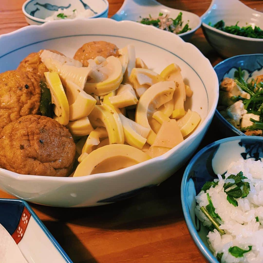 わちみなみさんのインスタグラム写真 - (わちみなみInstagram)「鳥飼豆腐のがんも﻿ とたけのこ﻿ 芹、などなど﻿ ﻿ 美味しかった🙏﻿ ﻿ 緑がもりもり、﻿ ちょっと遅めの春🌸﻿ 家族で食べました🌿﻿ ﻿ ありがとう☺︎﻿ いわし明太美味しかったな〜 ﻿  #春﻿ #もう終わる #鳥飼豆腐 #三瀬」5月13日 22時31分 - wacchime