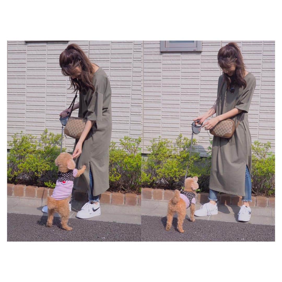 のインスタグラム：「🐶 #愛犬の日 #noamtsu」
