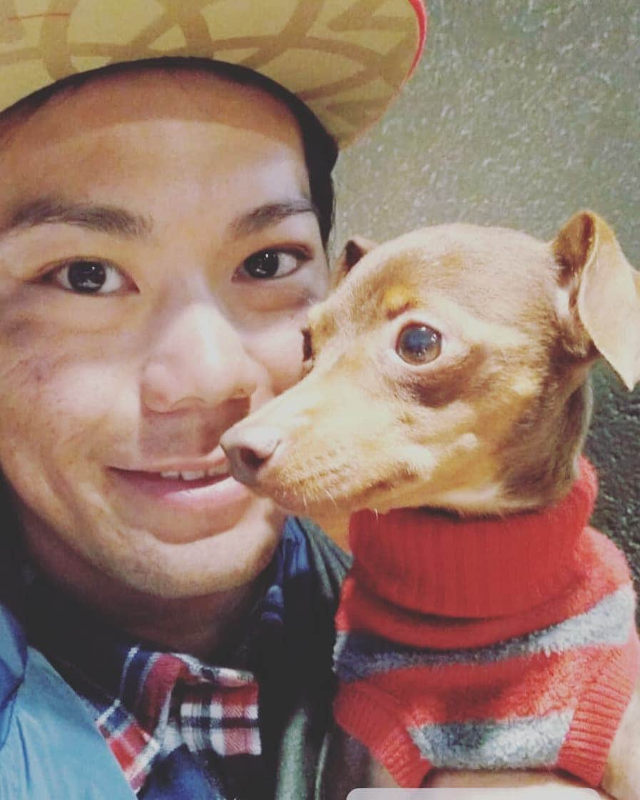 新城幸也さんのインスタグラム写真 - (新城幸也Instagram)「#コリン  #愛犬の日  #5月13日 #今日は愛犬の日らしい  #コリンこれからも元気でね #ミニピン #ミニチュアピンシャー」5月13日 22時52分 - yukiyaarashiro