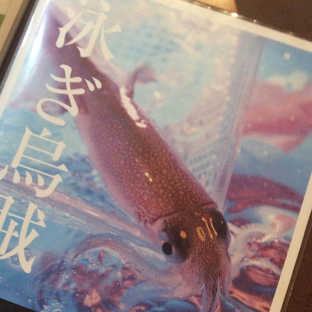 九州うまか京橋店のグルメインスタ