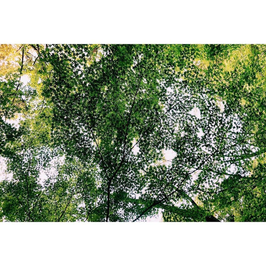 雪浦聖子のグルメインスタ