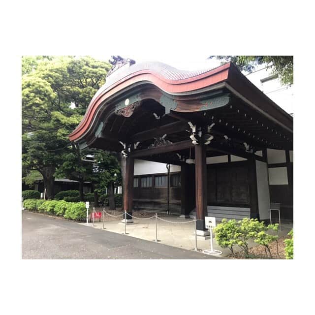 川口智美さんのインスタグラム写真 - (川口智美Instagram)「仕事が終わって #広尾 で予定が あったので、せっかくだから 母校へ行ってみた🏫  大学前の#商店街 は お洒落なお店が幾つも増えていたし #レクリエーションルーム が コンセント付きのカフェ風に  変わっていて驚きました😂  授業に、短期留学に 、学園祭委員に、インカレサークルにジャイアンツのチアに、  学生リポーターに 就活に 全力だった日々が懐かしい..笑  なかなか良い大学だったなぁ😊  #聖心 #聖心女子大学 #女子大 #広尾商店街 #広尾散歩通り #大学 #sacretheart #university」5月13日 23時16分 - horipro_satomikawaguchi