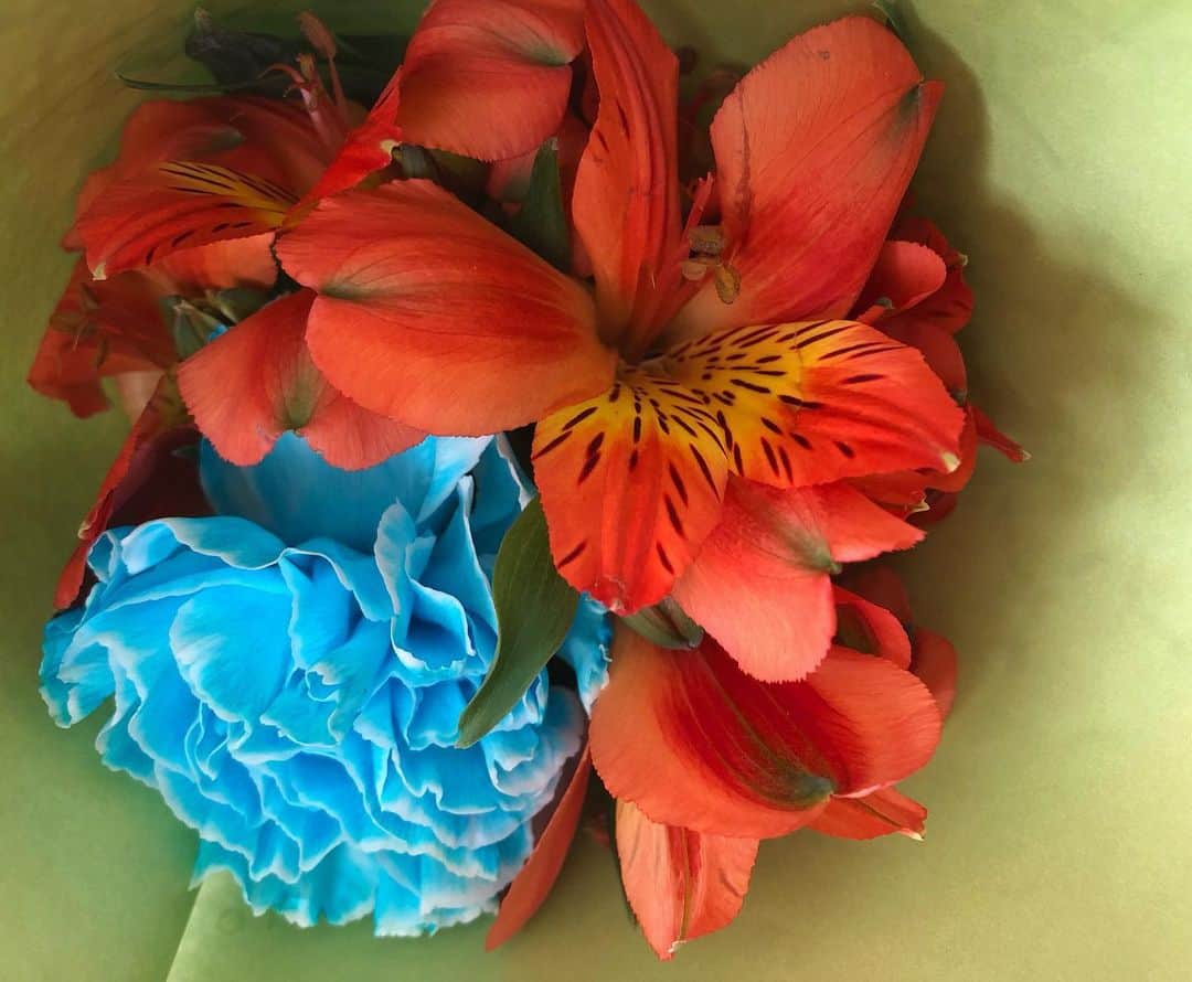 遠山景織子さんのインスタグラム写真 - (遠山景織子Instagram)「息子が母の日の花束を買って帰ってきてくれた🌿こんなに幸せなことはないですね。こちらこそいつもありがとう。この気持ちを頑張る力に変えよう(◡‿◡ฺ✿)✨✨✨ #母の日プレゼント  #息子から #ありがとうございます  #小田急フローラル  #俺セレクト だよ#息子が自分のお金で買ってきてくれた  #花束  #遠山景織子」5月13日 15時25分 - kyooko.9.tooyama