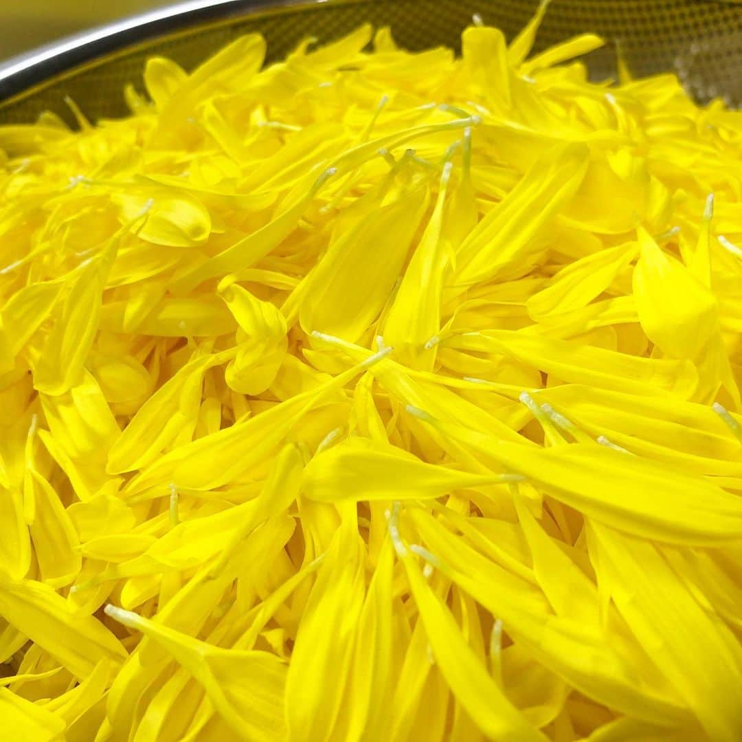 寿司居酒屋 番屋のグルメインスタ