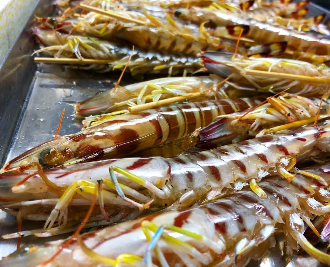 寿司居酒屋 番屋のグルメインスタ