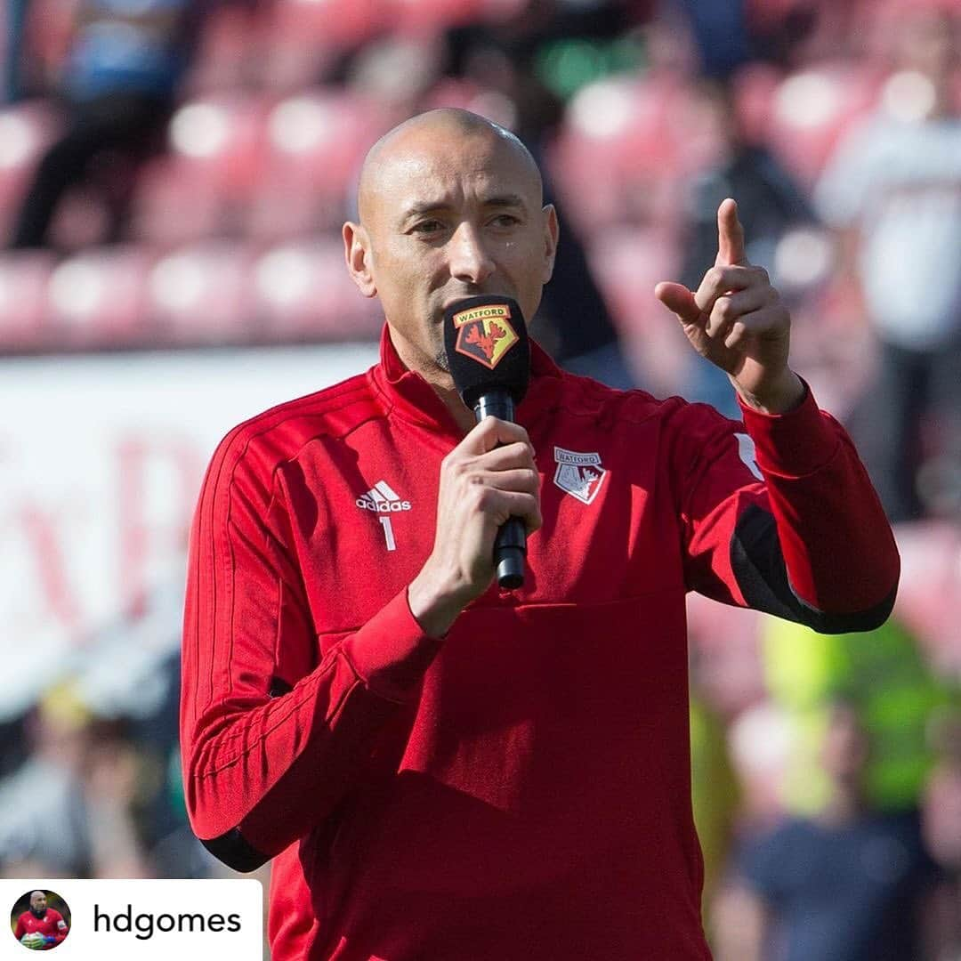 ワトフォードFCさんのインスタグラム写真 - (ワトフォードFCInstagram)「@hdgomes 💛 . . Thank you watford fans for a amazing @premierleague season, we are getting stronger as a team and growing as a club, for sure the next season this club will do even better in terms of league position , but it was a season to be proud of. Thank you everyone and I see you all on Saturday at the big stage. #wembley #facupfinal #godisfaithful」5月13日 16時48分 - watfordfcofficial