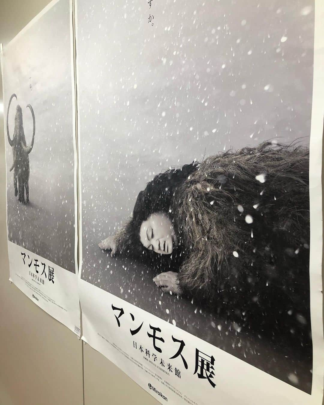 石丸幹二さんのインスタグラム写真 - (石丸幹二Instagram)「今日は #フジテレビ にきています。 社屋に #日本科学未来館 で6/7に開幕する例の #マンモス展 のポスターを目撃。  #マツコデラックス さん にまず目がいったのは狙い通りですよね。。。 #石丸幹二」5月13日 17時01分 - team_kanji_ishimaru