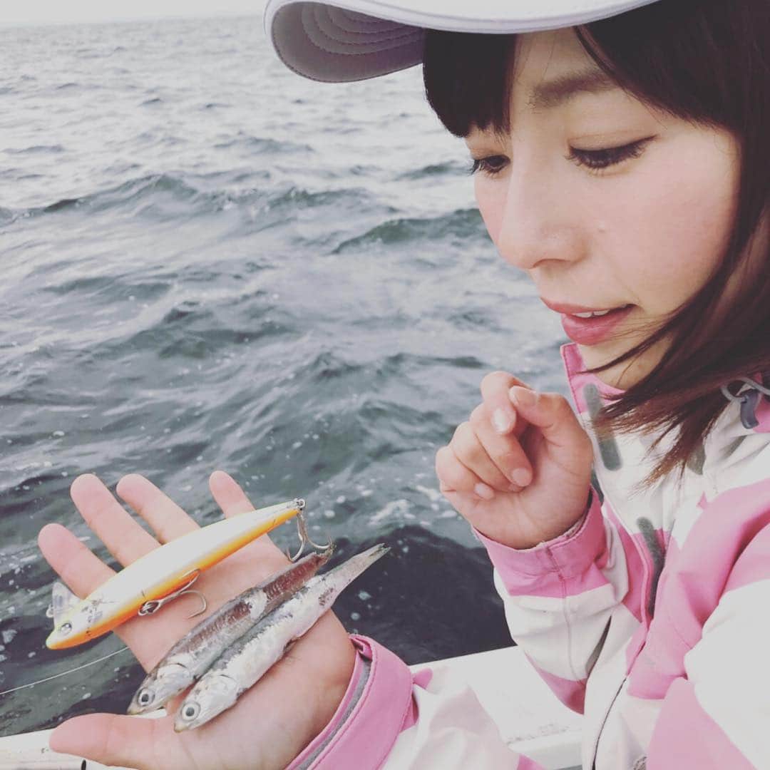 井上直美さんのインスタグラム写真 - (井上直美Instagram)「やっと来れたよ！シーバス釣り！時化で4回振られ5度目の正直！しかもかなり活性も良くすっごい楽しんでしまいました♪２枚目はシーバスが口から吐き出したイワシ君。いいもの食べてるねえ。  #釣り  #釣りガール  #シーバス  #ボートシーバス  #東京湾  #ニコデザインオフィス  #ハルシオンシステム  #テイルウォーク  #イチカワフィッシング  #サンヨーナイロン  #井上直美  #なおチンぎょ」5月13日 17時16分 - naochingyo