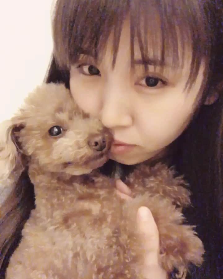 阿部真央のインスタグラム：「過去のですが。love♡ そしてこの顔。  #愛犬の日 #dog」