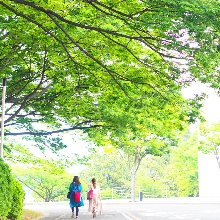 福岡女子短期大学のインスタグラム