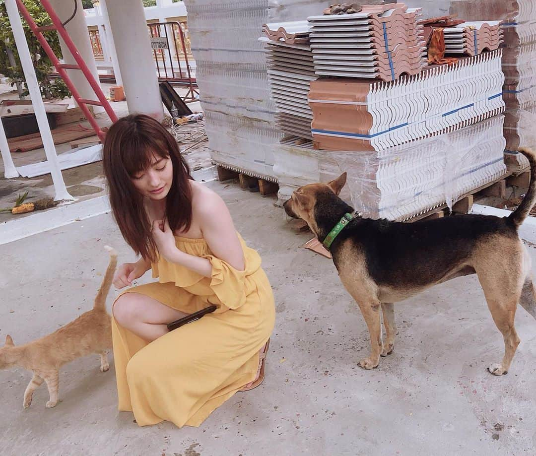 奥山かずささんのインスタグラム写真 - (奥山かずさInstagram)「週プレ オフショット 猫に触ってたら犬も来て戸惑うの巻 #犬派です #でもねこちゃんも大好き #つまりどっちも好き…」5月13日 17時39分 - kazusa_okuyama_official