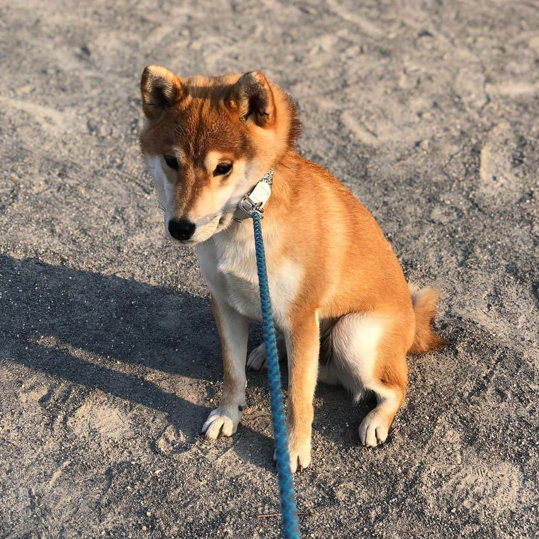 舞名里音のインスタグラム