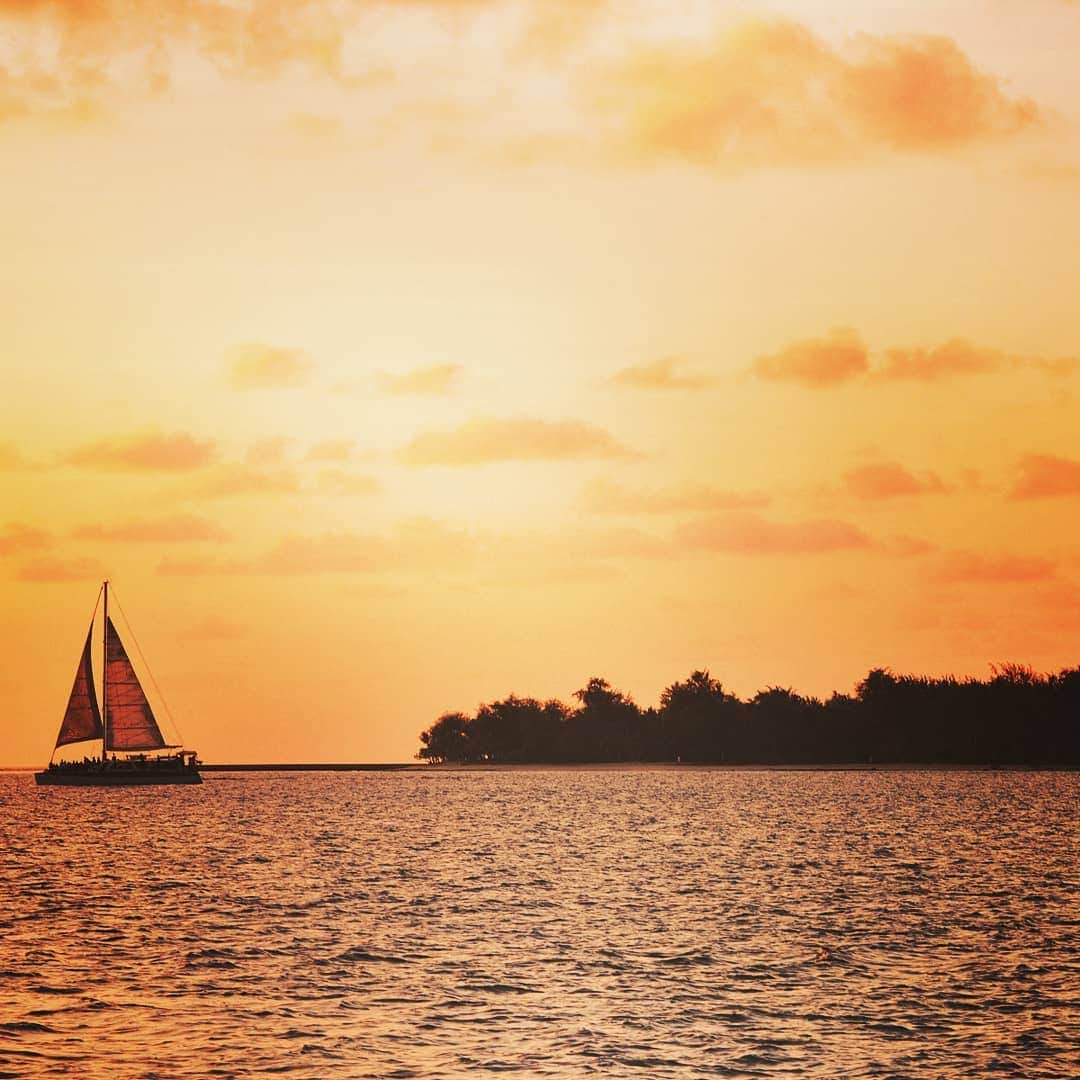 マリアナ政府観光局さんのインスタグラム写真 - (マリアナ政府観光局Instagram)「せっかくマリアナへ旅行するなら美しい海と自然を感じながら食事を楽しみたいですよね。水平線に沈む夕陽と星空を眺めながらのディナークルーズやビーチBBQはきっと素敵な思い出になるはず😍 . #サイパン #マニャガハ島 #テニアン #ロタ #マリアナ #サンセット #サンセットクルーズ #ディナークルーズ #夕焼け #夕日 #マジックアワー #海辺 #夕方 #saipan #tinian #rota #northernmarianaislands #rotaisland #sunset #sunsetcruise #sea #nature #landscape #beautifulnature」5月13日 17時47分 - mymarianas_mva