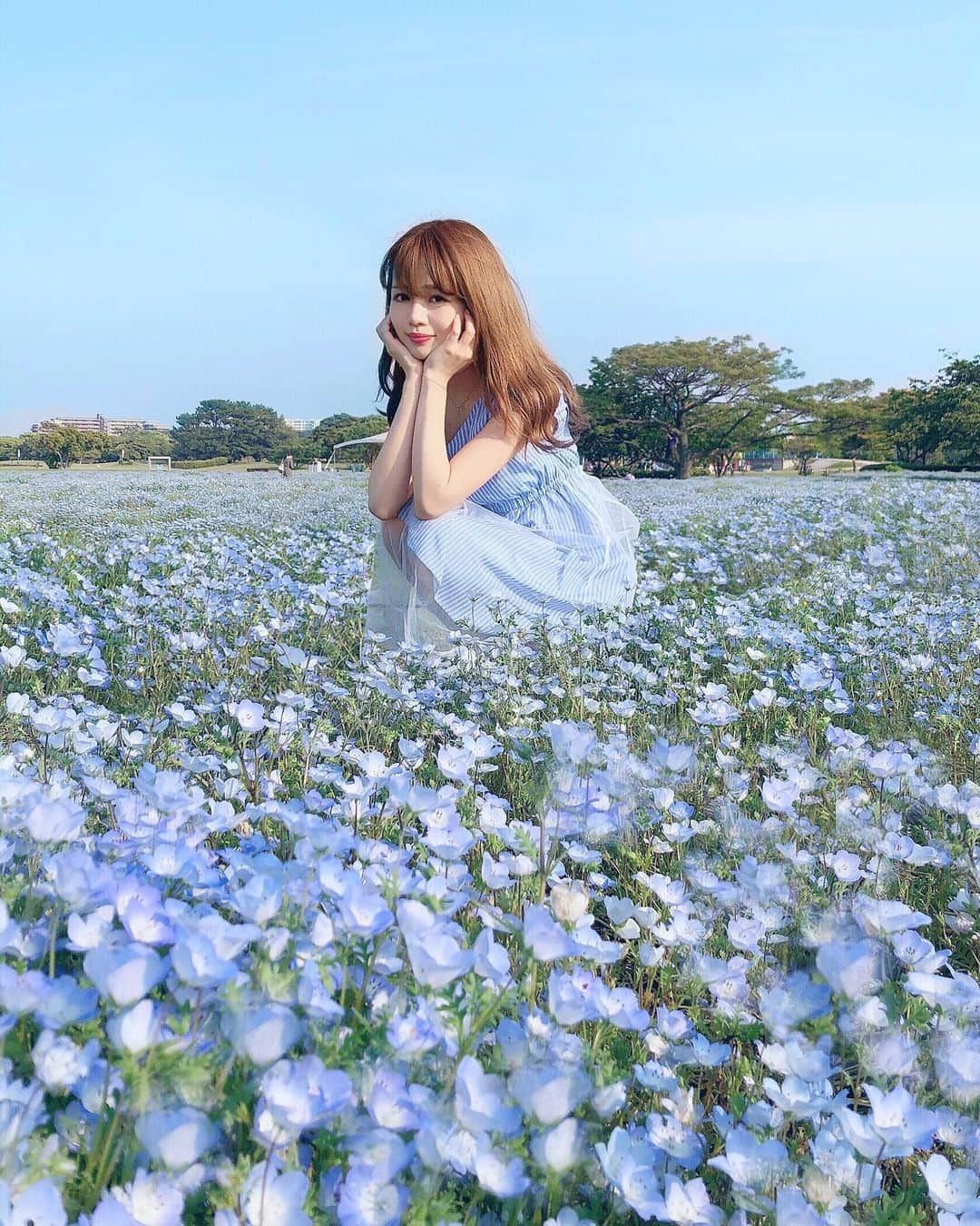 Isakoさんのインスタグラム写真 - (IsakoInstagram)「. ネモフィラ ♡ . 福岡の、海の中道海浜公園へ行ってきました🧸💫 念願のネモフィラ💕💕 とっても可愛くて綺麗で、感激しました🥺 . ネモフィラブルーに合わせて、ラズミルの @rasmile_official チュールワンピース ストライプブルーバージョンを着たよ👗💫 . . 海の中道海浜公園🏖とっても素敵な場所でした🥺 また来年もネモフィラを見に行きたいな💐 . . . . . #Rasmile#fukuoka#fukuokatrip#flowergarden#ネモフィラ祭り#ネモフィラの丘#ネモフィラ#ネモフィラブルー#アイスブルー#チュールワンピース#デート#お出かけ#九州旅行#九州観光#お花畑#お花#フォトジェニック」5月13日 17時57分 - ichaaako