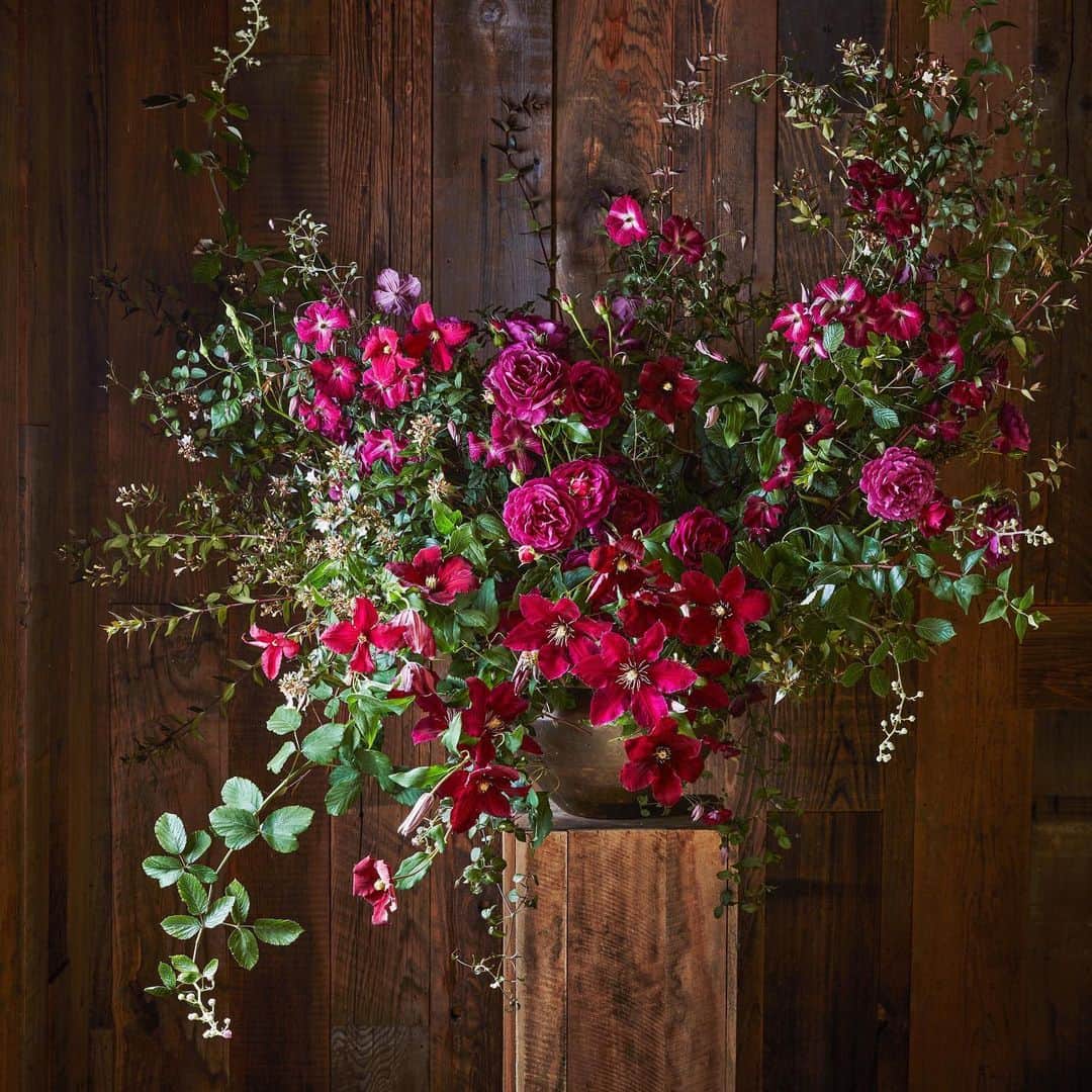 マーサ・スチュワートさんのインスタグラム写真 - (マーサ・スチュワートInstagram)「Blooms to brighten up your Monday. 🌺 "I want my arrangements to look like they could have grown right out of the vase," floral designer @maxgilldesign says. 🌹 Here, he clipped 'Ebb Tide' roses and three types of clematis vine: Clematis 'Niobe', C. 'Madame Julia Correvon', and C. viticella 'Walenburg'. To keep the stems in place, he wound the vines up strong, thornless blackberry canes, and tucked branches of the shrub Abelia into the outer edges. 😍 See the full feature from our May issue at the link in bio. 👆🏼📷: @minh_ngoc」5月13日 23時34分 - marthastewart