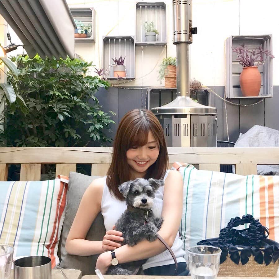 橘珠里さんのインスタグラム写真 - (橘珠里Instagram)「最近の #ブレア さん🐶 ( @blair_stagram ) ⠀ ⠀ 私より上手なカメラ目線とスマイル🤭 旦那さんもすっかりメロメロです😍🤭💦笑 ----*----*----*----* #dogstagram #mixbreeddog #maltipoo #doggy #doggie #mydaughter #brentwoodterrace #🐶 #犬スタグラム #マルプー #プーマル #ミックス犬 #マルプー連合 #マルプー女子 #マルチーズミックス #宝物 #愛娘 #かわいいワンコ #ワンコ #わんこ #愛犬 #ペット同伴可 #ワンコとお出かけ #犬okのお店 #ペットokカフェ #嫁グラフィー #テラス席 #ブレントウッドテラス」5月13日 18時37分 - jurinu