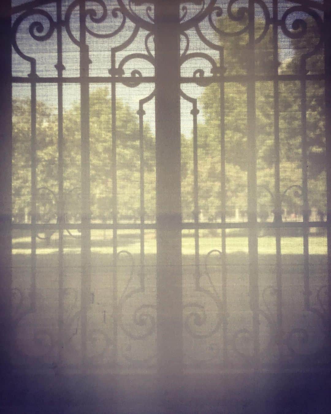 アレクシマビーユのインスタグラム：「Through the Shades @petitpalais_musee @alexismabille #saturdaylight #light #shades #shadows #veil #alexismabille melancholy #springlinght」