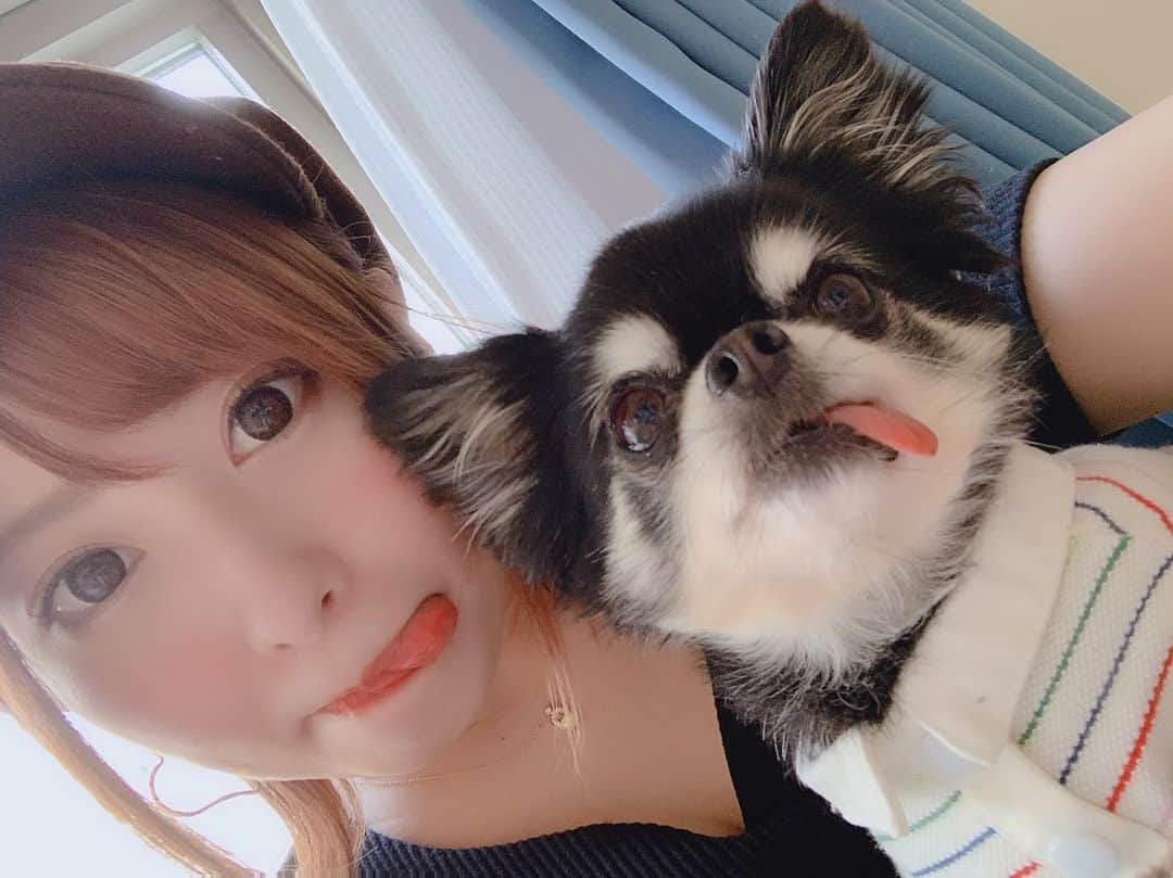 成瀬心美さんのインスタグラム写真 - (成瀬心美Instagram)「🐶 . . れいちぇるの わんちゃんと . ちーーーーーーーず😘 . . #instagood #instalike #instagram #instapic #followｍe #dog #love #べー #dogstagram #chihuahua」5月13日 18時32分 - coco3ndazo