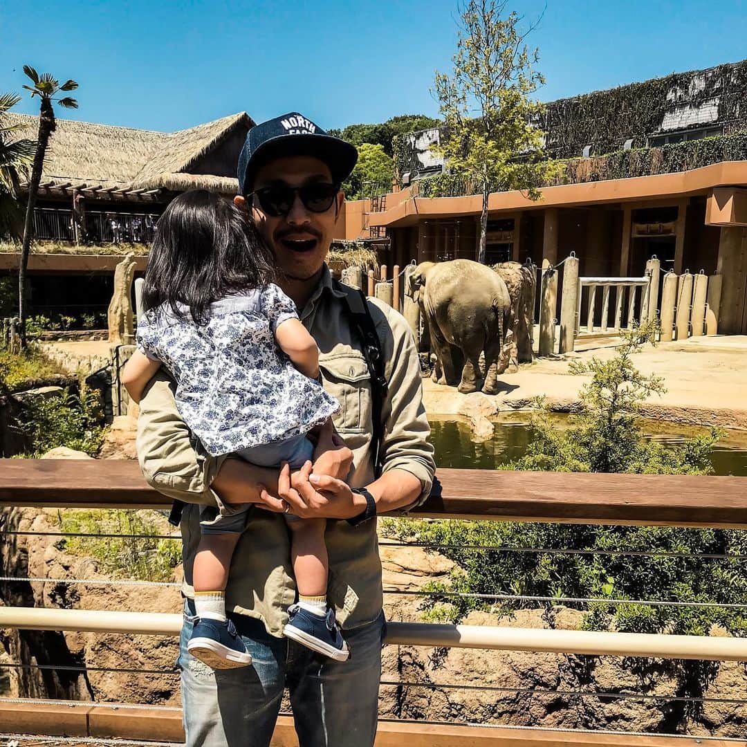 のりごとーのインスタグラム：「台北動物園で初めて見て以来、大好きになった象をまた見に来たぞうー🐘  #東山動物園 #象 #動物園」