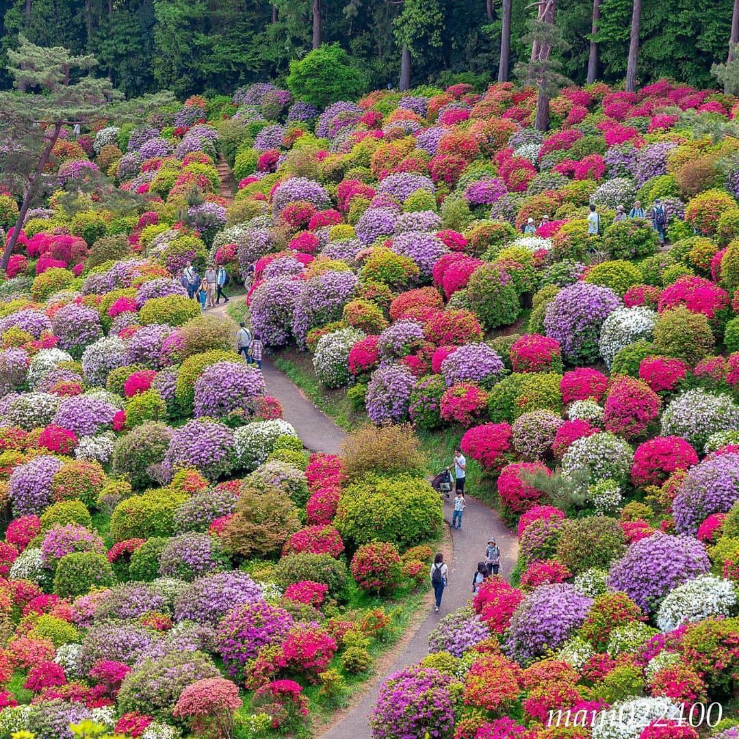 mani022400のグルメインスタ