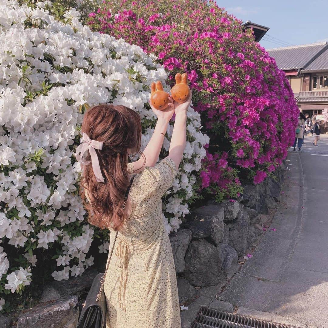 のインスタグラム：「.*⑅︎୨୧┈︎┈︎┈︎┈︎┈︎┈︎┈┈︎┈︎┈︎┈︎┈︎୨୧⑅︎* .  つつじが綺麗✨🌺 📍京都 嵐山駅から5分程度 ㅤㅤ みっふぃーのあんぱん買うついでに、綺麗なつつじも見れました🌺✨ かわいいぱんはみっふぃー桜キッチンで買えますよ💗 (@miffy_kitchen ) 次は秋の紅葉に行きたいなぁ🍁 .*⑅︎୨୧┈︎┈︎┈︎┈︎┈︎┈︎┈┈︎┈︎┈︎┈︎┈︎୨୧⑅︎* .  #cocodeal #ココディール #きれいめカジュアル #大人かわいい #上品コーデ #デイリーコーデ #着まわしコーデ  #きょうのふく୨୧ #kyototravel #kyotojapan  #kyototrip #kyotogram  #京都さんぽ  #京都ぶらり #嵐山 #arashiyama  #つつじ #つつじ祭り #京都観光 #フォトスポット  #嵐山カフェ #京都カフェ #japaneseflower」
