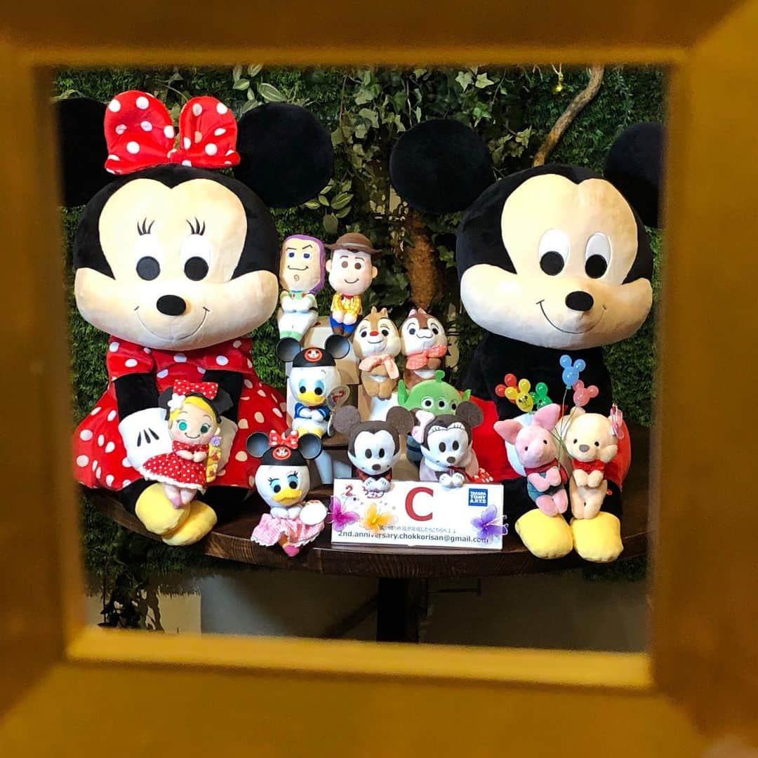 ちょっこりさん【公式】のインスタグラム：「#20190513 * Cチームの作品を紹介！ 額縁から覗いた、ちょっこりさんたち。 * 大きなちょっこりさんと共演できて、 みんな楽しそう～ * #ちょっこりさん #ちょっこりさんファンイベント #ちょっこりさん2周年記念 #ぬい撮り#ぬいぐるみ #chokkorisan#disney #takaratomyarts #ぬいぐるみと撮り隊 #disney写真部 #ディズニーグッズ #ちょっこりさん好きな人とつながりたい」