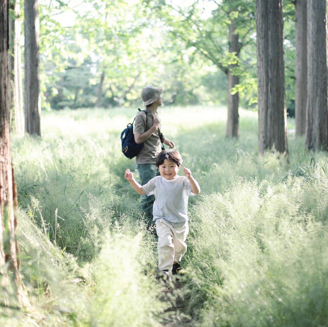 きなこのインスタグラム