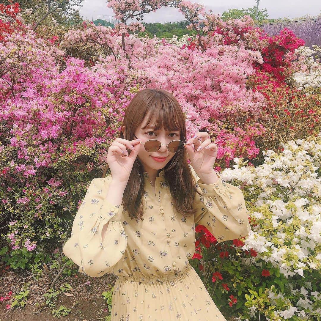 木村ミサのインスタグラム：「藤の花も有名だけど つつじもきれいです  #あしかがフラワーパーク」