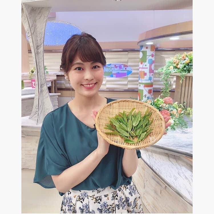 関根苑子さんのインスタグラム写真 - (関根苑子Instagram)「＊ご挨拶＊ この春からBSN新潟放送に 仲間入りしました 関根 苑子(せきね そのこ)  と申します。 . 現在、 新潟生活2年目になりました💕 番組などでもお話したのですが、 両親が新潟県出身で、 小さい頃から新潟市内に 毎年遊びに来ていました。 . ４月から 県内各地、取材させて頂いています🎤✨ この1ヶ月の間でも、 取材でお邪魔した場所が、 祖父母と訪れた思い出の地だったり、 いつかは一緒に行ってみたかった場所だったり…と、 さまざまな所で 新潟と自分の接点を感じられて、 ご縁って不思議だなと思いつつ、 ルーツ新潟に魅了され、 毎日とても幸せです💕 .  キャスター2年目、 まだまだ未熟者ですが 全力で頑張りますのでよろしくお願いします😌 . . 🌱今日は🌱 村上の新茶に出会いました🍵 日差しを浴びて キラキラと光る新芽、 目を奪われます。 一番茶、私もgetするぞー！！ .  #BSN#新潟放送#アナウンサー #ゆうなび#関根苑子#新潟 #村上#新茶」5月13日 20時03分 - sonoko_sekine_bsn