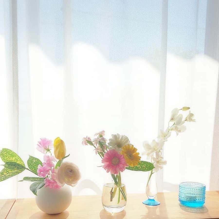 Bloomee LIFEさんのインスタグラム写真 - (Bloomee LIFEInstagram)「・ ポストに入っているので、 サッと取り出して寂しいテーブルの彩りにオン！  テーブルにお花があるだけで朝のスタートもバッチリです☺︎ 届きながらお花の勉強もできそう！ ・ Special Thanks Photo by⠀ @chie.hbb @sachiko_yukawa @machacha_ko ・ お花が届いたけど 飾り方、どうしようかな…？ いつもと少し、違う飾り方を試してみたいな♪  という方のために、色々なアレンジをご紹介💛  花瓶で印象がぜんぜん違ってくるのも お花がある生活の素敵で、楽しいところです😊 ・ #bloomeelife#ブルーミーライフ#花のある生活#花好きな人と繋がりたい#おうち時間#花部#花写真#花が好き#花を飾る#暮らしを楽しむ#日々の暮らし#丁寧な暮らし#日々#お花のある暮らし#ナチュラル#素敵な休日#暮らしを整える#くらしのきほん#日々の暮らしを楽しむ#丁寧に暮らす#ガーベラ#ラナンキュラス#デルフィニウム#フラワーアレンジメント#花瓶#ミニブーケ#ナチュラルインテリア#シンプルインテリア#緑のある暮らし#試験管」5月13日 20時36分 - bloomee
