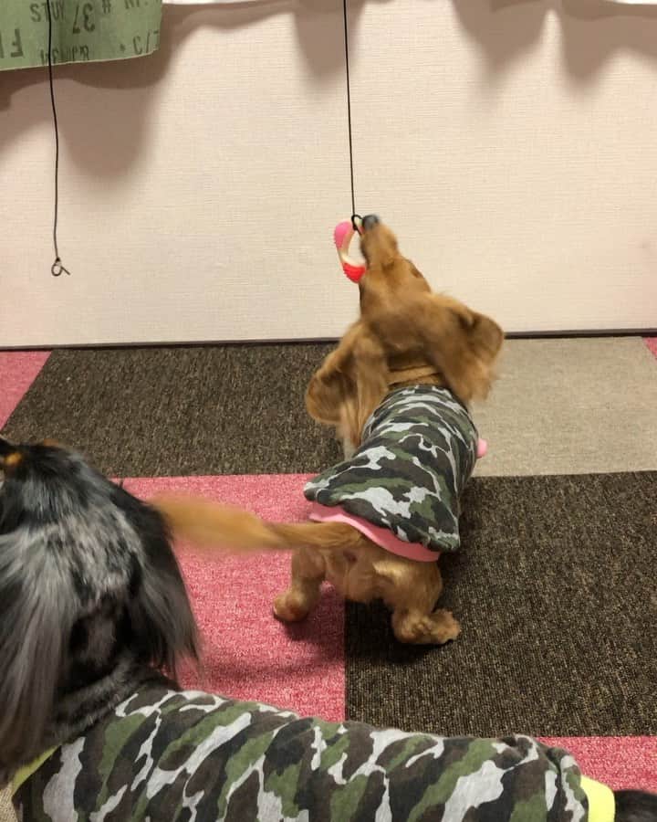 Club Soda♡のインスタグラム