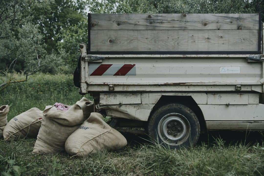 ルラボさんのインスタグラム写真 - (ルラボInstagram)「A moment between the fields and extraction. #fromthefield #fruitsoflabor #beforethelab」5月13日 21時00分 - lelabofragrances