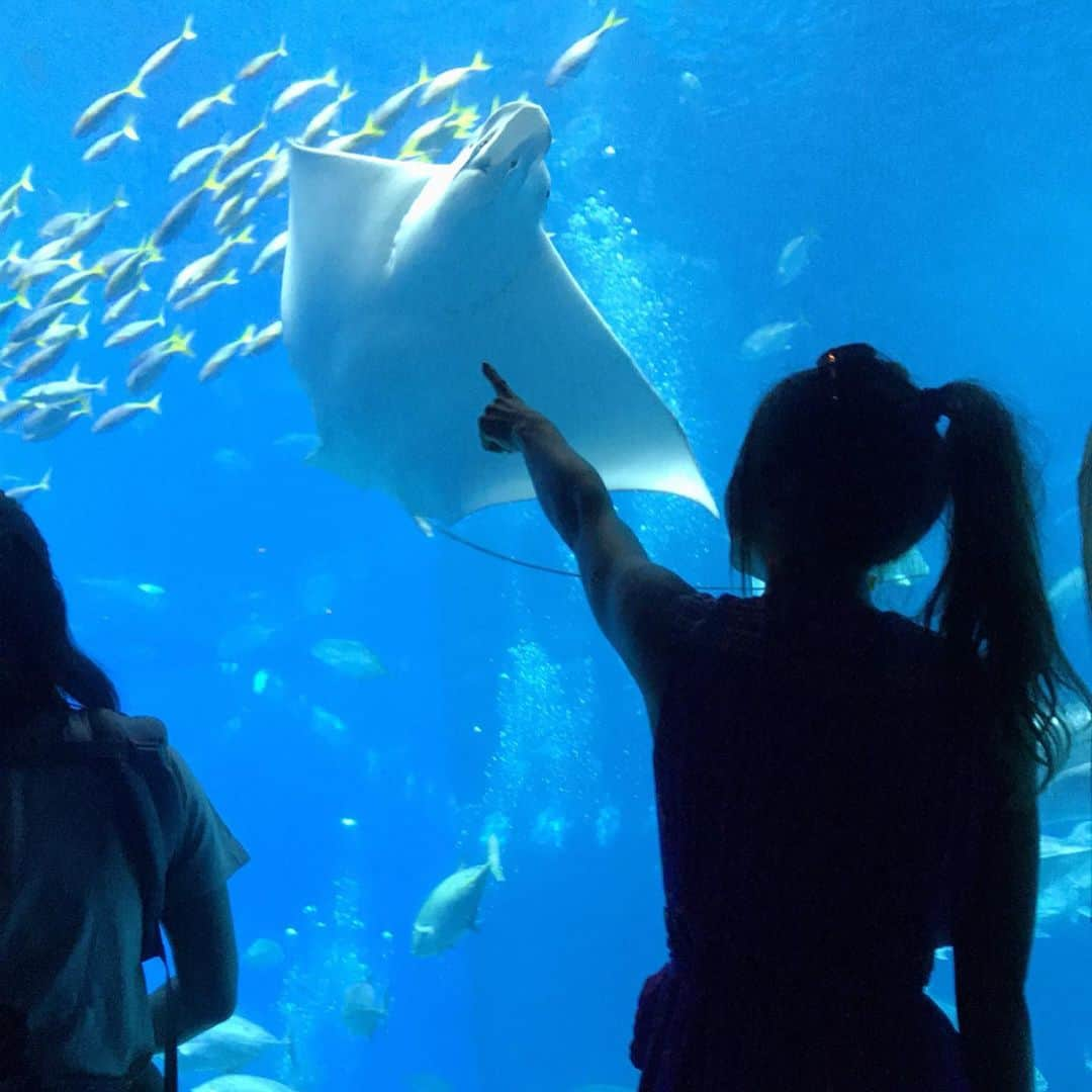 あおい夏海さんのインスタグラム写真 - (あおい夏海Instagram)「彼女と美ら海水族館デートなうに使っていいよ❤️ .  #美ら海水族館 #沖縄 #ジンベイザメ #水族館 #彼女とデートなうに使っていいよ #okinawa #魚 #釣りガール #あおい夏海 #観光スポット #沖縄旅行 #女子旅 #旅行 #旅行好き #アメリカンビレッジ #国際通り#那覇 #デートコーデ  #エイ」5月13日 21時12分 - natsumi.aoi