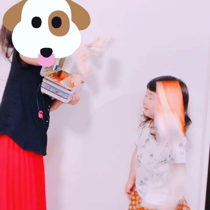 kinaxのインスタグラム：「. good  night✨🌙 . . さっきストーリーに載せたびっくり箱の 作り方の質問をいくつか頂いたので 撮ってみたよʕ •́؈•̀ ₎ . . これはオリジナルとかじゃなくて 私もどなたかの動画を見て真似して作ったので ちょっと違うのかも知れないけど ちゃんとびっくりするので 多分合ってるんじゃないかと…ʕ •́؈•̀ ₎笑 . . ①洗って乾かした牛乳パックの上下を切り落とす✂︎ ②筒状のまま、3等分にカットする✂︎ ③対角線上の4箇所に切り込みを入れる✂︎ ④輪ゴムを切り込みにはめる ⑤ゴムが伸びるように畳む . これをたくさん重ねて箱に入れて完成📦 . . 結構勢いよく飛び出すので、 人に向けて開けないでねʕ •́؈•̀ ₎ . . 牛乳パックを4等分にもしてみたんだけど 細いとゴムの力に負けて変なところが折れたりするので 3等分くらいがちょうどいいかな？ . お片付けが大変だけど ぶわーっ！と飛び出すのは楽しいよʕ •́؈•̀ ₎♡ . . みんなもいい夢みてねー♡ . #親バカ部 #kinaxちびっこs #kinaxvideo #手作りおもちゃ #考えた人すごいねぇ #びっくり箱 #たのしい」