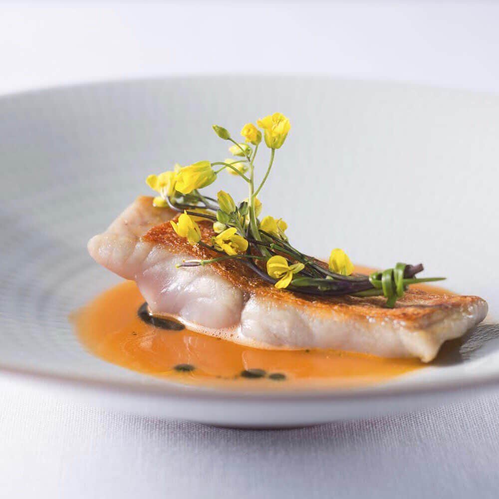 資生堂 Shiseido Group Shiseido Group Official Instagramのグルメインスタ