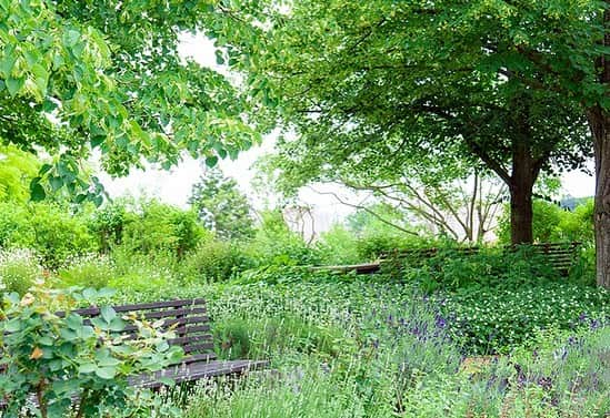 生活の木 メディカルハーブガーデン薬香草園【公式】のグルメインスタ