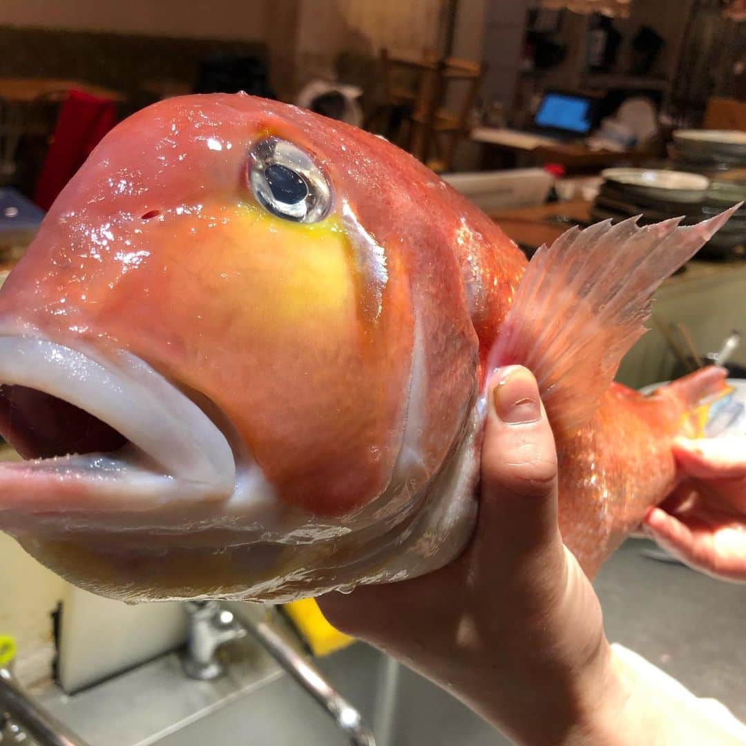 浪花ろばた 頂鯛 北新地店のグルメインスタ