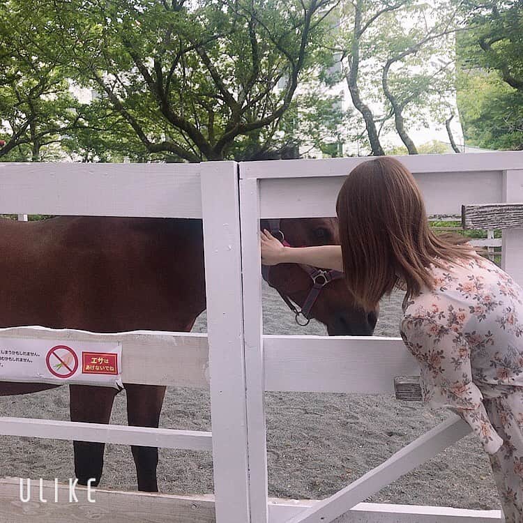 百瀬ひとみのインスタグラム：「ひたすら馬をなでる女  #静岡 #御殿場 #時之栖 #馬」