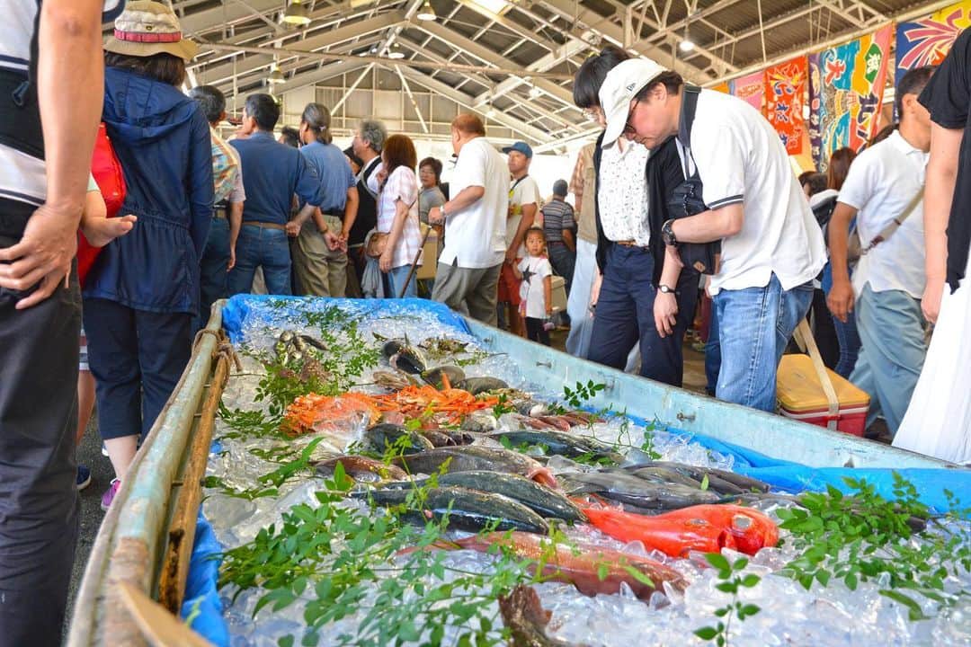 のインスタグラム：「* 【魚まつり朝市開催】 当日水揚げされた 魚介類の販売はもちろん、 漁師鍋の無料配布や マグロの解体実演など イベント盛りだくさんの朝市です。 ぜひご参加くださいね。 * #湘南ひらつか魚まつり朝市 日時：6月2日(日)8:00～10:00 ★売切れ次第終了 ★荒天の場合9日(日)に延期 会場：平塚市水産物地方卸売市場(平塚市千石河岸28-11) ***************** #手をつなぎたくなる街 #hiratsukagood #hiratsuka#平塚 #shonan#湘南 #kanagawaphotoclub #魚まつり朝市#朝市 #魚介類#水揚げ #鮮魚#マグロ #マグロ解体 #漁師鍋#平塚漁港 #充実した休日 #週末の過ごし方 #日々#暮らし #instagramjapan#igersjp」