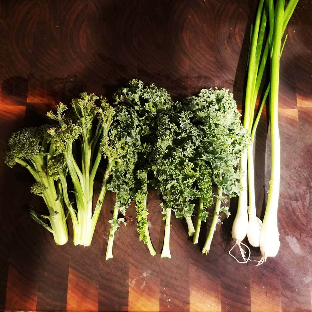 のインスタグラム：「PICKED FRESH TODAY #BROCCOLI #KALE #ONION #ORGANIC #GASOLINEGARDEN #ILOVEGARDENS #GARDENSRULE #GARDENCHURCH #GARDENPARTY #GARDENMAGIC #AVANTGARDEN #GARDENS #GARDENGANGSTER #garden #gardenlife #GARDENER #gardentime #GARDENING #VEGETABLEGARDEN #VEGETABLES #FLOWERS #FLOWERPOWER #plants #CACTUS #SUCCULENTSRULE #AYEARINFLOWERS  #shadowhills  THANKYOU 😬😬😬 @gasolineglamour  #GASOLINEGLAMOUR @greenriverwoods #butcherblock #greenriverwoods」