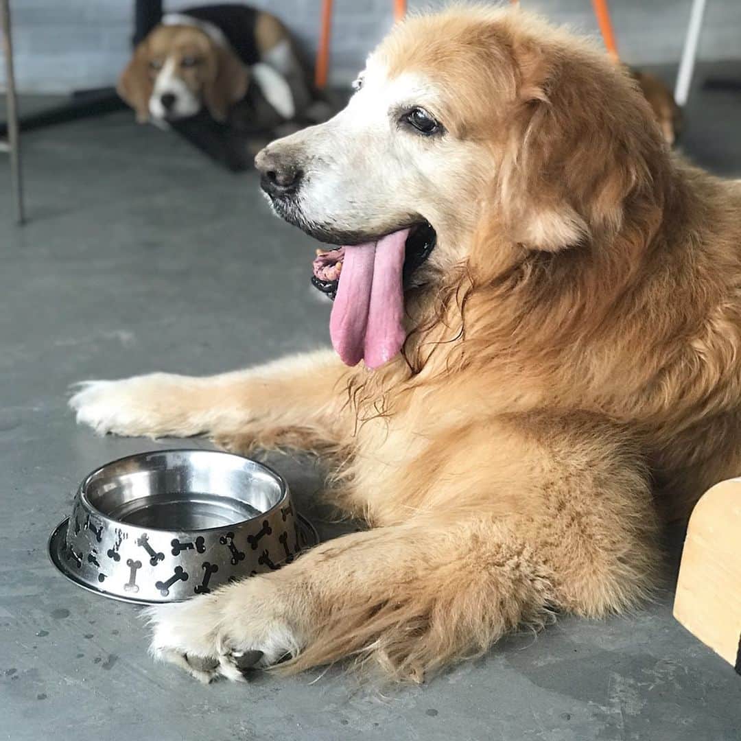 Hoykong&Plamuekのインスタグラム：「Hello Tuesday #tongueouttuesday #tot #hkpm」