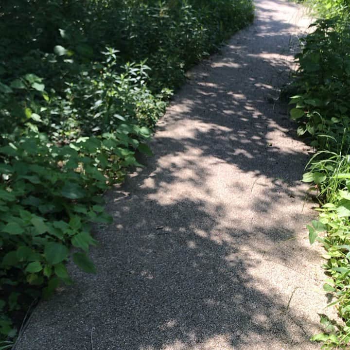 ココハウスのグルメインスタ