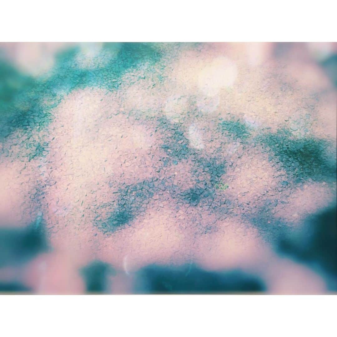 潘めぐみさんのインスタグラム写真 - (潘めぐみInstagram)「木漏れ日ってろロマン。 . だなぁ。 . おはよう。 . 今日もいってきます。 . いってらっしゃい。 . #今日の青 #今日の一枚 #木漏れ日 #ロマン #hologram #photography」5月28日 10時21分 - han_meg_han